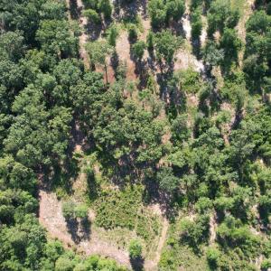 Photo #6 of Redds Branch, Aiken, SC 11.0 acres
