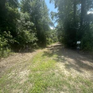 Photo #2 of Near 721 Joe Piver, Chadbourn, NC 225.7 acres
