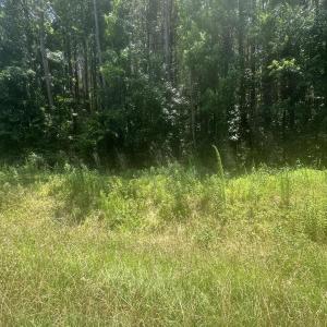 Photo #6 of Near 721 Joe Piver, Chadbourn, NC 225.7 acres