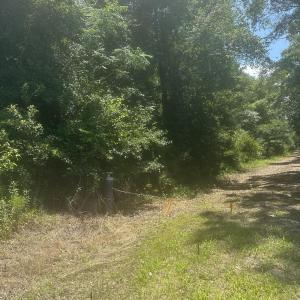 Photo #4 of Near 721 Joe Piver, Chadbourn, NC 225.7 acres