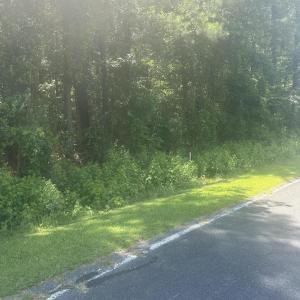 Photo #8 of Near 721 Joe Piver, Chadbourn, NC 225.7 acres