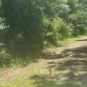 Photo #3 of Near 721 Joe Piver, Chadbourn, NC 225.7 acres
