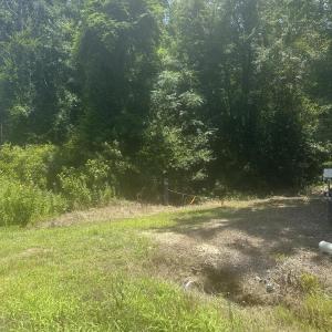 Photo #5 of Near 721 Joe Piver, Chadbourn, NC 225.7 acres