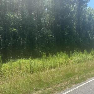 Photo #7 of Near 721 Joe Piver, Chadbourn, NC 225.7 acres
