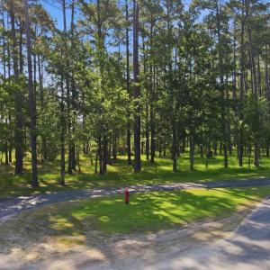 Photo #8 of 164 Broadview, Oriental, NC 1.0 acres