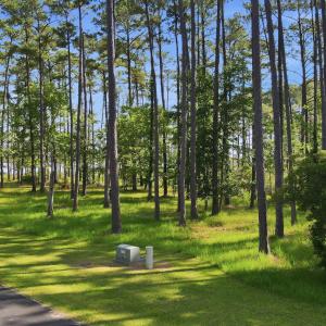 Photo #6 of 164 Broadview, Oriental, NC 1.0 acres