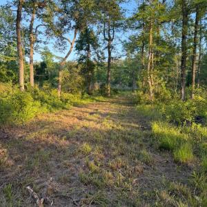 Photo #31 of 705 Russells Creek, Beaufort, NC 22.6 acres