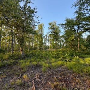 Photo #33 of 705 Russells Creek, Beaufort, NC 22.6 acres