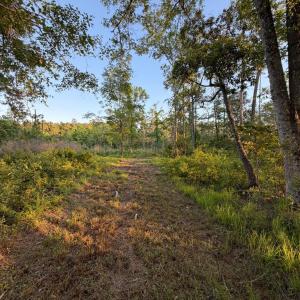 Photo #35 of 705 Russells Creek, Beaufort, NC 22.6 acres