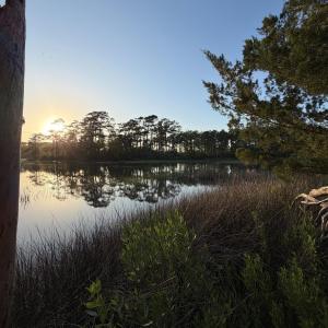 Photo #15 of 705 Russells Creek, Beaufort, NC 22.6 acres