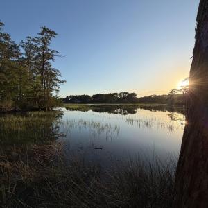 Photo #16 of 705 Russells Creek, Beaufort, NC 22.6 acres