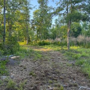 Photo #28 of 705 Russells Creek, Beaufort, NC 22.6 acres
