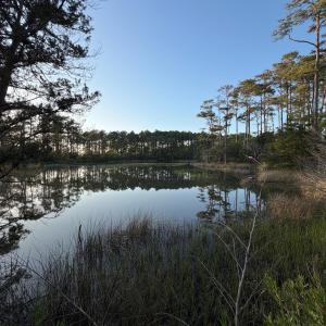 Photo #14 of 705 Russells Creek, Beaufort, NC 22.6 acres
