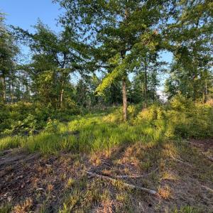 Photo #32 of 705 Russells Creek, Beaufort, NC 22.6 acres