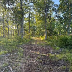Photo #29 of 705 Russells Creek, Beaufort, NC 22.6 acres