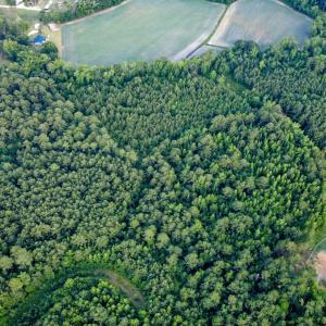 Photo #16 of 344 Tucker, Pembroke, NC 6.2 acres