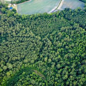 Photo #14 of 344 Tucker, Pembroke, NC 6.2 acres