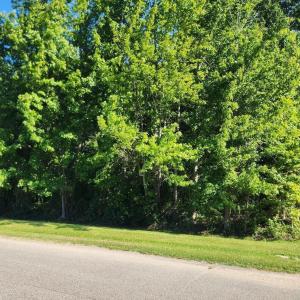 Photo #1 of 32 Treasure Point, Bath, NC 1.4 acres