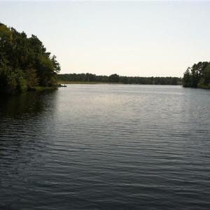 Photo #14 of 1654 Boiling Spring Lakes, Southport, NC 0.6 acres