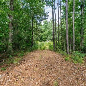 Photo #18 of Lot 19 Oyster Point, Hampstead, NC 0.8 acres