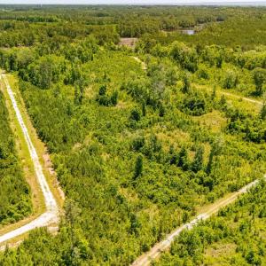 Photo #11 of Tract1 & 2 Kershaw Road, Oriental, NC 35.8 acres