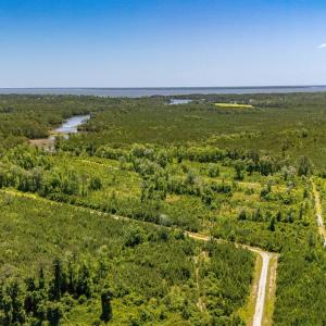 Photo #2 of Tract1 & 2 Kershaw Road, Oriental, NC 35.8 acres