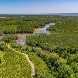 Photo #10 of Tract1 & 2 Kershaw Road, Oriental, NC 35.8 acres