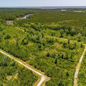 Photo #6 of Tract1 & 2 Kershaw Road, Oriental, NC 35.8 acres