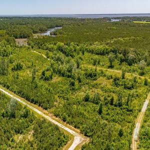 Photo #7 of Tract1 & 2 Kershaw Road, Oriental, NC 35.8 acres