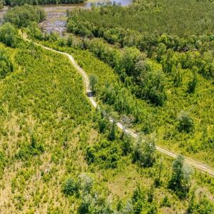 Photo #12 of Tract1 & 2 Kershaw Road, Oriental, NC 35.8 acres