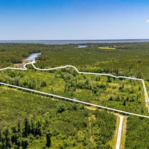 Photo #1 of Tract1 & 2 Kershaw Road, Oriental, NC 35.8 acres