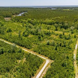 Photo #5 of Tract1 & 2 Kershaw Road, Oriental, NC 35.8 acres