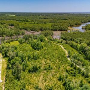 Photo #9 of Tract1 & 2 Kershaw Road, Oriental, NC 35.8 acres