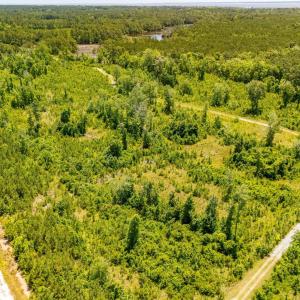 Photo #13 of Tract1 & 2 Kershaw Road, Oriental, NC 35.8 acres