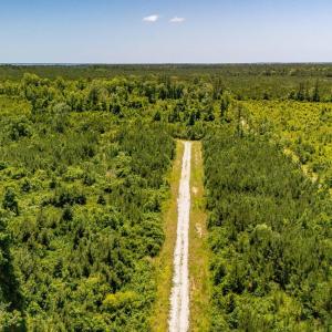 Photo #4 of Tract1 & 2 Kershaw Road, Oriental, NC 35.8 acres