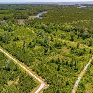 Photo #8 of Tract1 & 2 Kershaw Road, Oriental, NC 35.8 acres