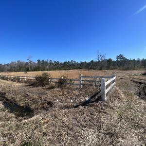 Photo #3 of 897 Chair Factory, Nakina, NC 39.0 acres