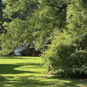 Photo #2 of 1028 Main, Ridge Spring, SC 0.3 acres