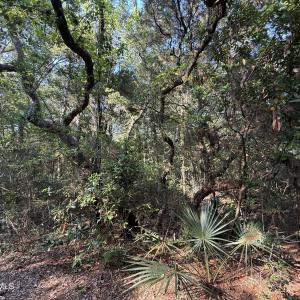 Photo #2 of 53 Fort Holmes, Bald Head Island, NC 0.2 acres