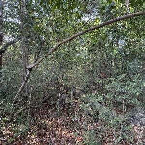Photo #2 of 207 Stede Bonnet Wynd, Bald Head Island, NC 0.3 acres