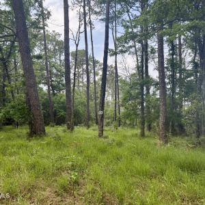 Photo #9 of 558 Sandy Point, Beaufort, NC 3.4 acres