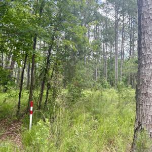 Photo #8 of 558 Sandy Point, Beaufort, NC 3.4 acres