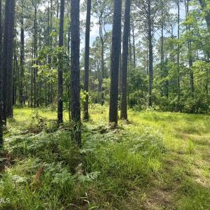 Photo #6 of 558 Sandy Point, Beaufort, NC 3.4 acres