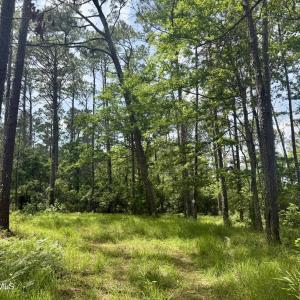 Photo #7 of 558 Sandy Point, Beaufort, NC 3.4 acres