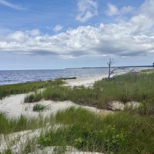 Photo #16 of 558 Sandy Point, Beaufort, NC 3.4 acres