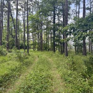 Photo #5 of 558 Sandy Point, Beaufort, NC 3.4 acres