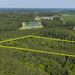 Photo #9 of 1 White Farm, Oriental, NC 4.0 acres