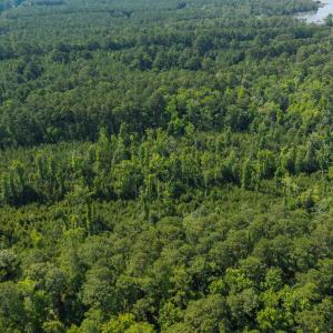 Photo #11 of 1 White Farm, Oriental, NC 4.0 acres