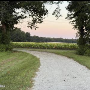 Photo #1 of 1337 Off Sr 1337 On, Pollocksville, NC 1.1 acres
