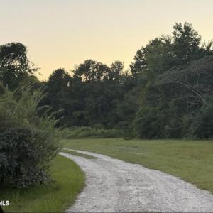 Photo #2 of 1337 Off Sr 1337 On, Pollocksville, NC 1.1 acres